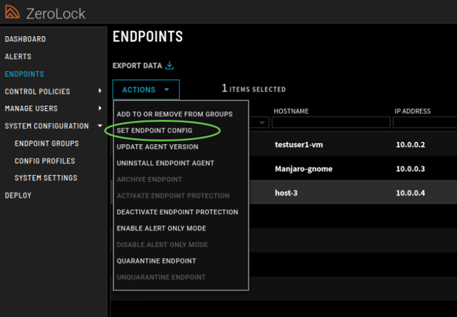 Step_1_Set Endpoint Config-2