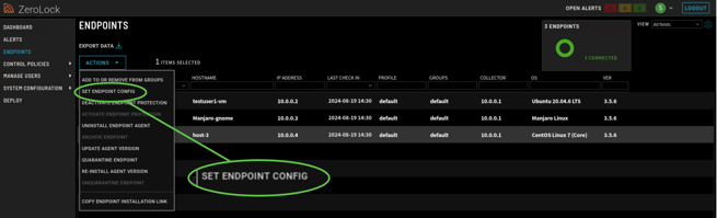 Step_2_Set Endpoint Config-2